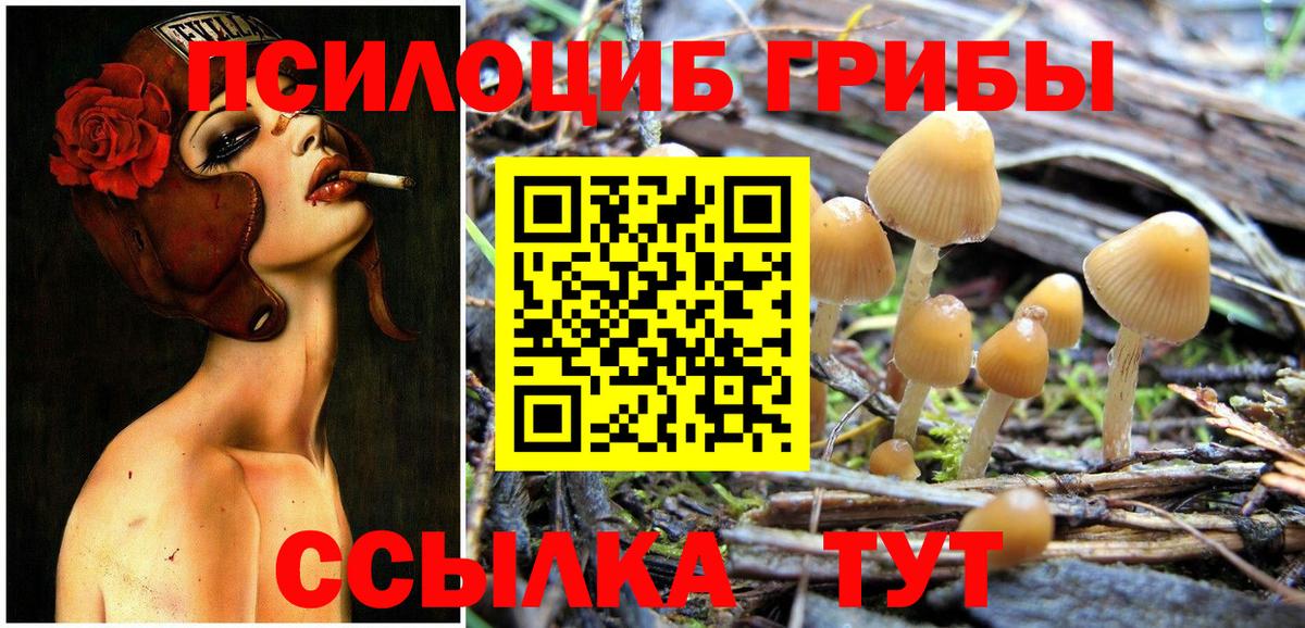 Галлюциногенные грибы прущие грибы Коммунар