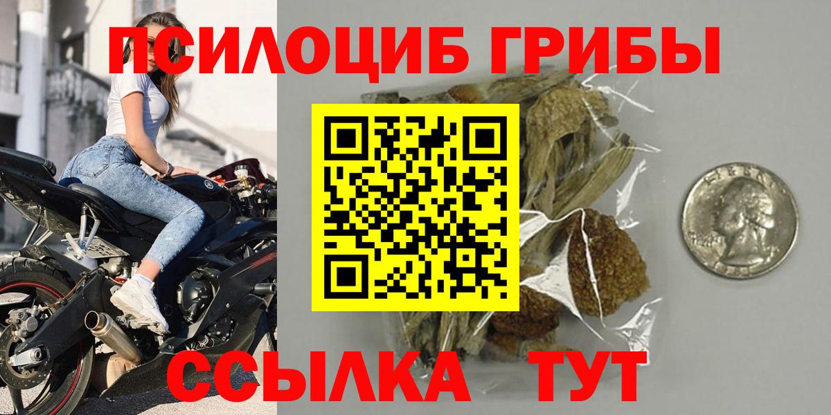 хочу   Галлюциногенные грибы Cubensis  Вход с VPN  Коммунар  Псилоцибиновые грибы Cubensis 